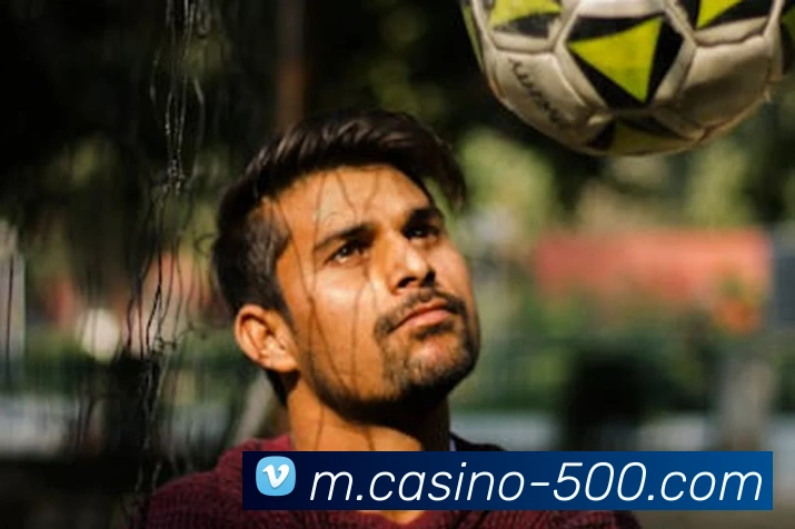 500彩票服务体系